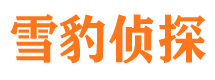 隆德外遇调查取证